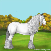 Horse Color:Grullo Sabino Splash Tobiano