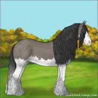 Horse Color:Grullo Sabino Splash 