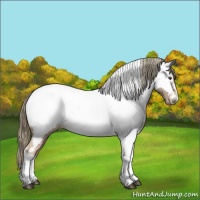 Horse Color:Watercolor Chestnut Tobiano Near Fewspot 