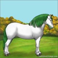 Horse Color:Watercolor Bay Tobiano Appaloosa