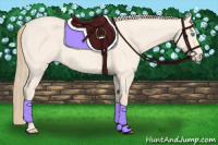 Horse Color:Perlino Roan