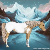 Horse Color:Palomino Near Fewspot Rabicano 