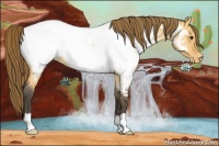 Horse Color:Buckskin Roan Dun Appaloosa Rabicano 