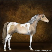 Horse Color:Gray Liver Red Dun Pearl Mushroom Tobiano Brindle 
