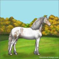 Horse Color:White Spotted Chocolate Palomino Tobiano 