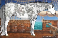 Horse Color:White Spotted Liver Chestnut Ice Splash 