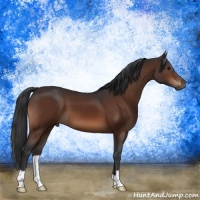 Horse Color:Brown 