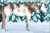 Horse Color:White Spotted Liver Chestnut Splash 
