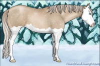 Horse Color:Chocolate Palomino Pearl Splash 