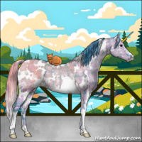 Horse Color:Watercolor Plaid  White Spotted Grullo Ice Rabicano 
