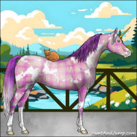 Horse Color:Watercolor Plaid  White Spotted Brown Pearl Dun Sabino 