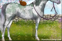 Horse Color:Watercolor Plaid  White Spotted Liver Red Dun Rabicano 