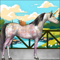 Horse Color:Plaid  White Spotted Brown Ice Dun Sabino Rabicano 