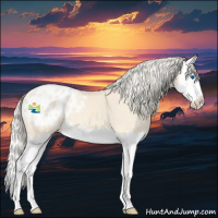 Horse Color:Cremello Sabino Splash Appaloosa 
