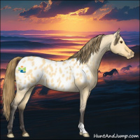 Horse Color:Buckskin Dun Appaloosa