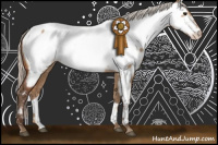 Horse Color:Silver Bay Dun Near Fewspot 