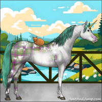 Horse Color:Painted Plaid  White Spotted Grullo 
