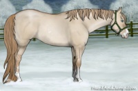 Horse Color:Liver Red Dun Pearl Sabino 