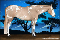 Horse Color:White Spotted Liver Red Roan Pearl Splash 