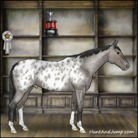 Horse Color:Grullo Roan Near Leopard 