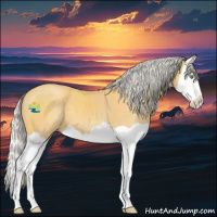 Horse Color:Silver Amber Cream Champagne Splash 