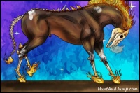 Horse Color:Bay Tobiano 