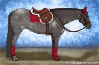 Horse Color:Smoky Black