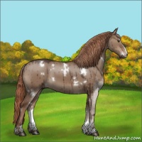 Horse Color:White Spotted Liver Red Dun Sabino Brindle 