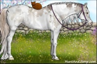 Horse Color:White Spotted Liver Red Dun Ice Splash