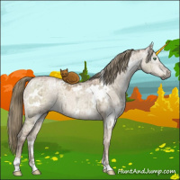Horse Color:Gray White Spotted Liver Red Dun Ice Pearl Mushroom Brindle