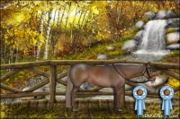 Horse Color:Liver Chestnut Mushroom Sabino 
