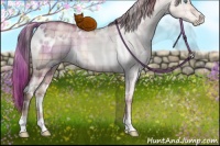 Horse Color:Plaid  White Spotted Brown Pearl Dun Rabicano 