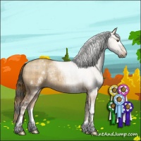 Horse Color:Plaid White Spotted Liver Red Dun Roan