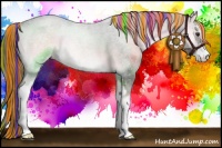 Horse Color:Painted Chocolate Palomino Roan Onyx Sabino 