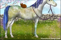 Horse Color:Painted Watercolor Brown Dun Sabino Brindle