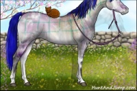 Horse Color:Painted Plaid  White Spotted Brown Onyx Brindle 