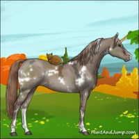 Horse Color:White Spotted Liver Red Dun Ice Sabino Rabicano