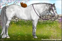 Horse Color:White Spotted Grullo Splash