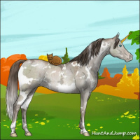 Horse Color:White Spotted Grullo Ice Pearl Mushroom Brindle 