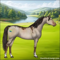 Horse Color:Liver Red Dun Sabino 