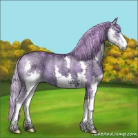 Horse Color:Watercolor Plaid Chocolate Palomino Ice Splash