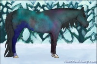 Horse Color:Brown Rabicano 