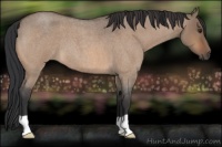 Horse Color:Brown Roan Dun 