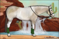 Horse Color:White Spotted Liver Red Dun Rabicano 