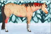 Horse Color:White Spotted Buckskin Dun Rabicano Brindle 