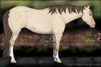 Horse Color:Classic Cream Champagne Roan Dun