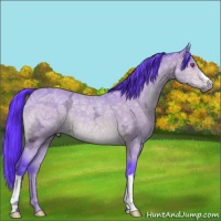 Horse Color:Watercolor Bay Chinchilla Ice 