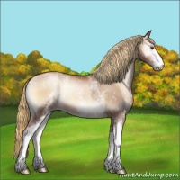 Horse Color:White Spotted Liver Red Onyx Pearl 