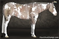 Horse Color:White Spotted Liver Chestnut Ice Mushroom Sabino Splash Rabicano