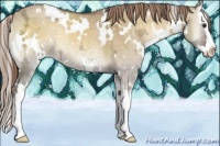 Horse Color:White Spotted Chocolate Palomino Ice Onyx Splash